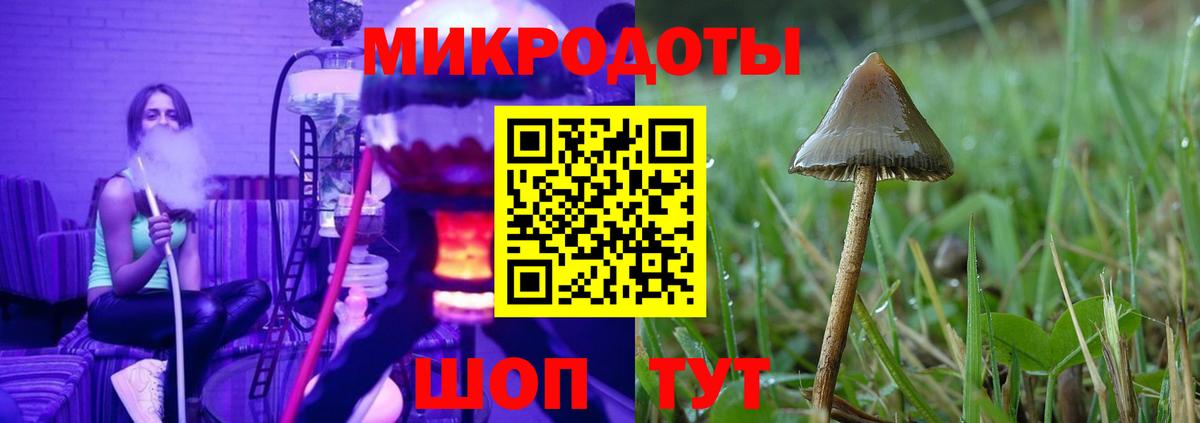 Псилоцибиновые грибы MAGIC MUSHROOMS  Псилоцибиновые грибы мухоморы  Вход с VPN  Екатеринбург 